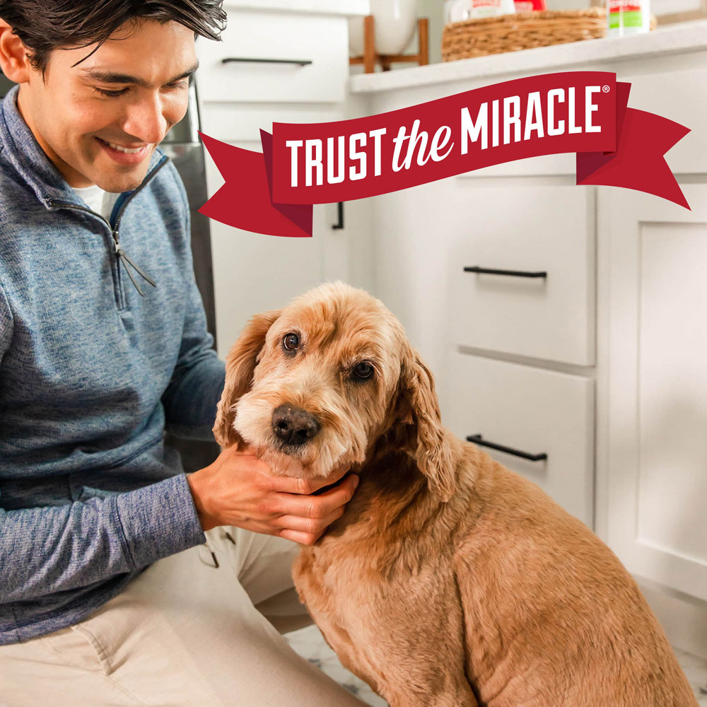 Nature's miracle dog stain and odor remover clearance